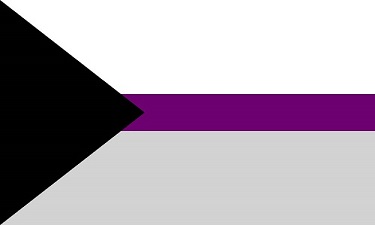 The demisexual flag